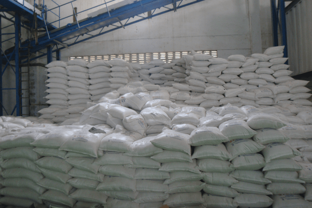 25-50-Kgs-Bags-In-Containers6